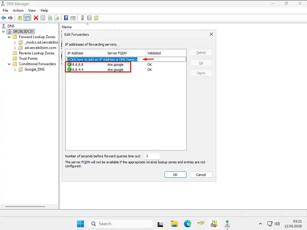 Edit Forwarders dialog: 8.8.8.8 and 8.8.4.4 are added and both show Validated
