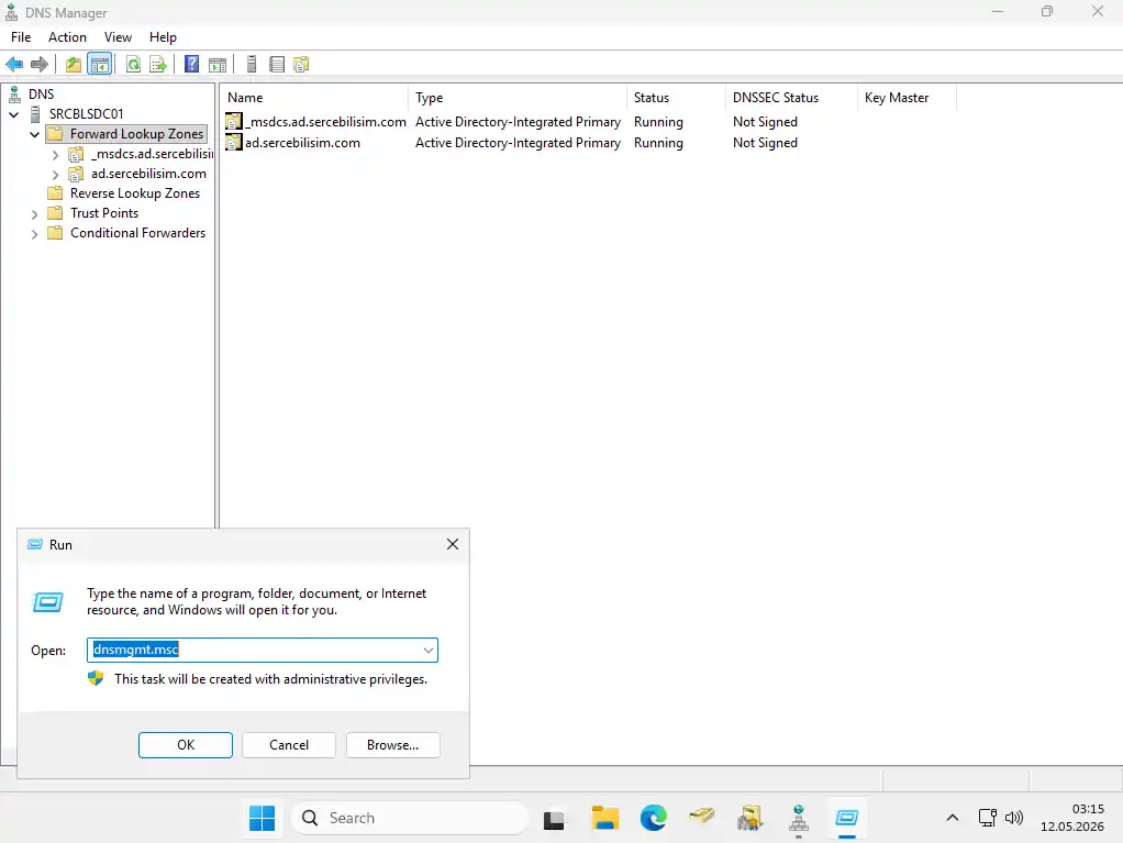 DNS Manager console: the left pane shows Forward Lookup Zones and Reverse Lookup Zones under the server, and the right pane lists the domain zone and the _msdcs zone