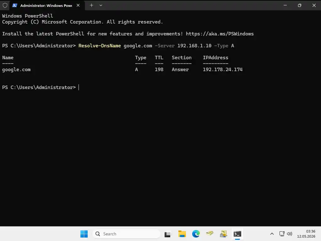 PowerShell showing Resolve-DnsName google.com output: Name google.com, Type A, with Google's IP addresses listed